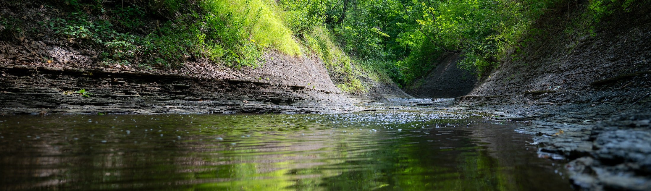Banner_Euclid-Creek2.jpg