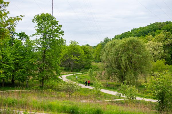 All Purpose Trail_WSC All Purpose Trail_WSC