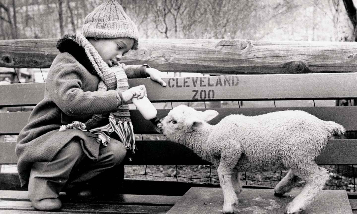 1959-Zoo-Feeding-lamb-at-Childrens-farm-area.jpg