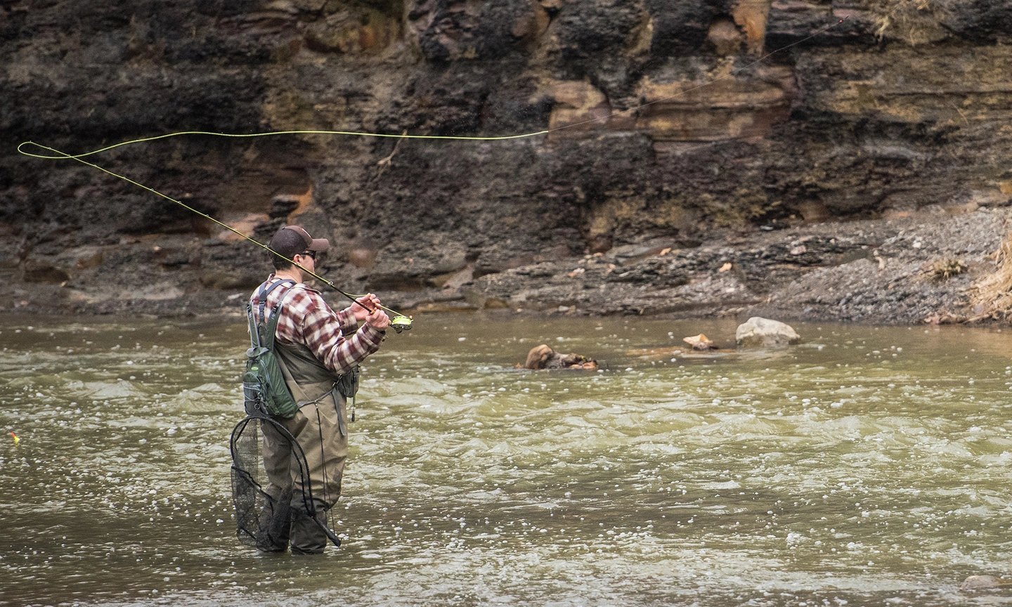 Fishing-small.webp