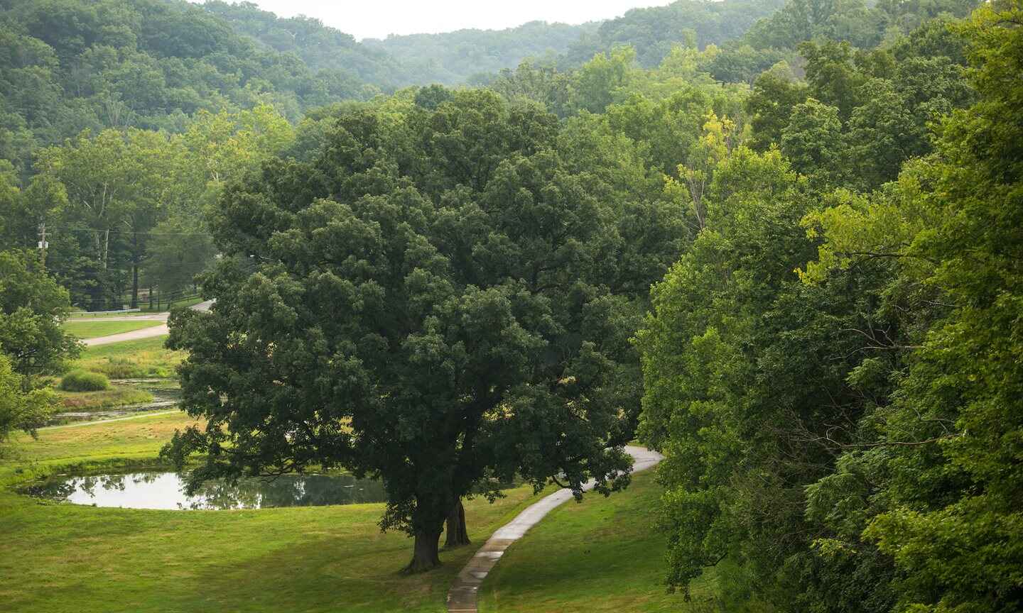 KCL_5788.jpg