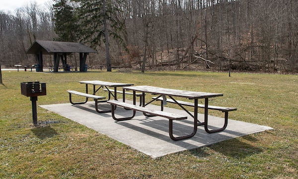 North_Mastick_Picnic.jpg