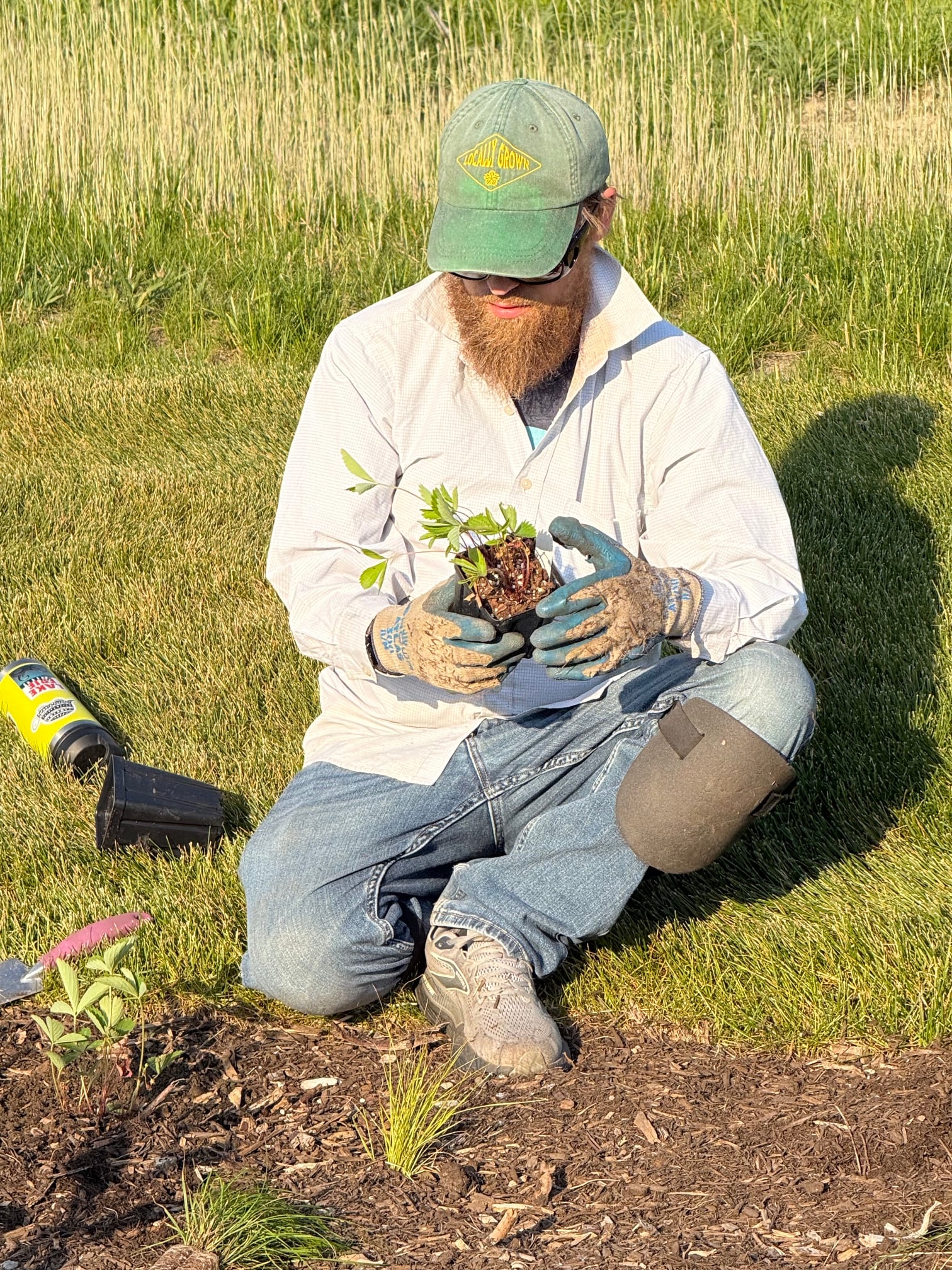 6-5-26 Gi Planting_Casey 6-5-26 Gi Planting_Casey