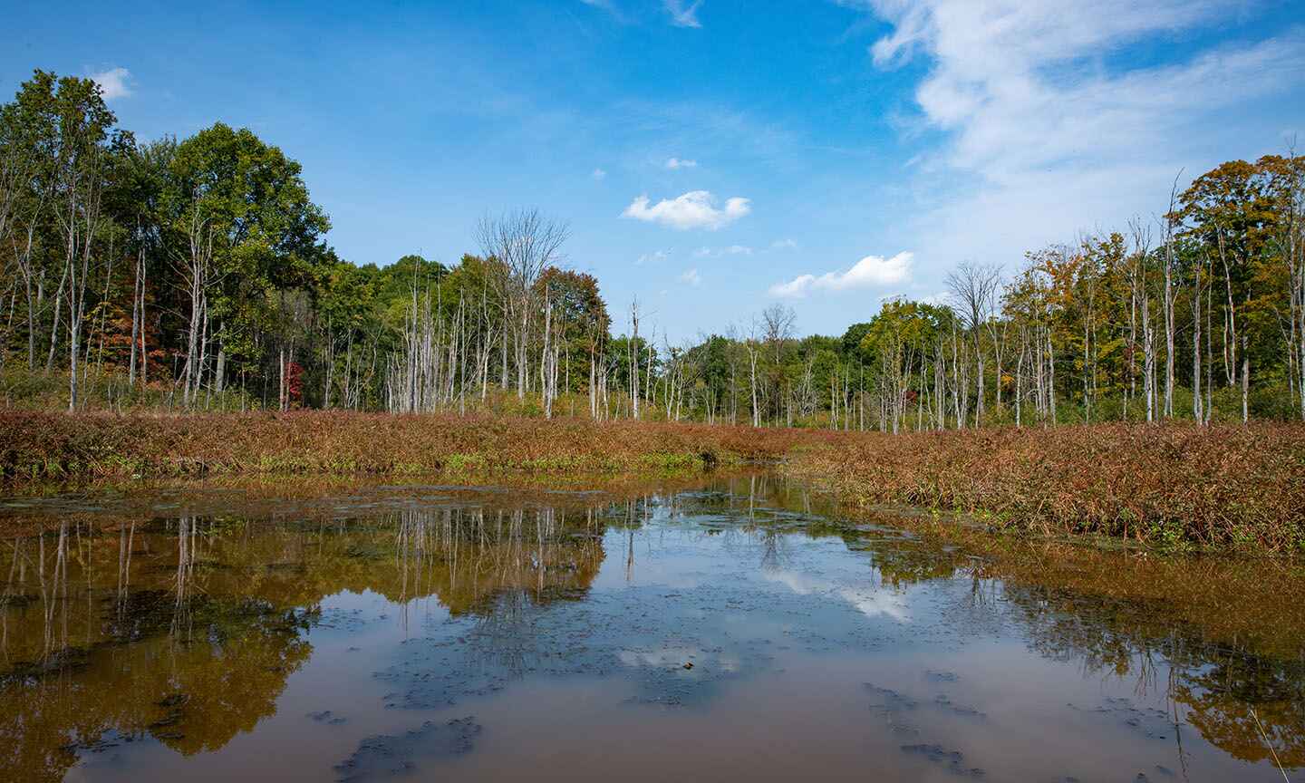 RRNC_West_Channel_Pond.jpg