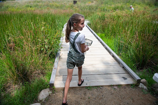 Little Explorers Trail Little Explorers Trail