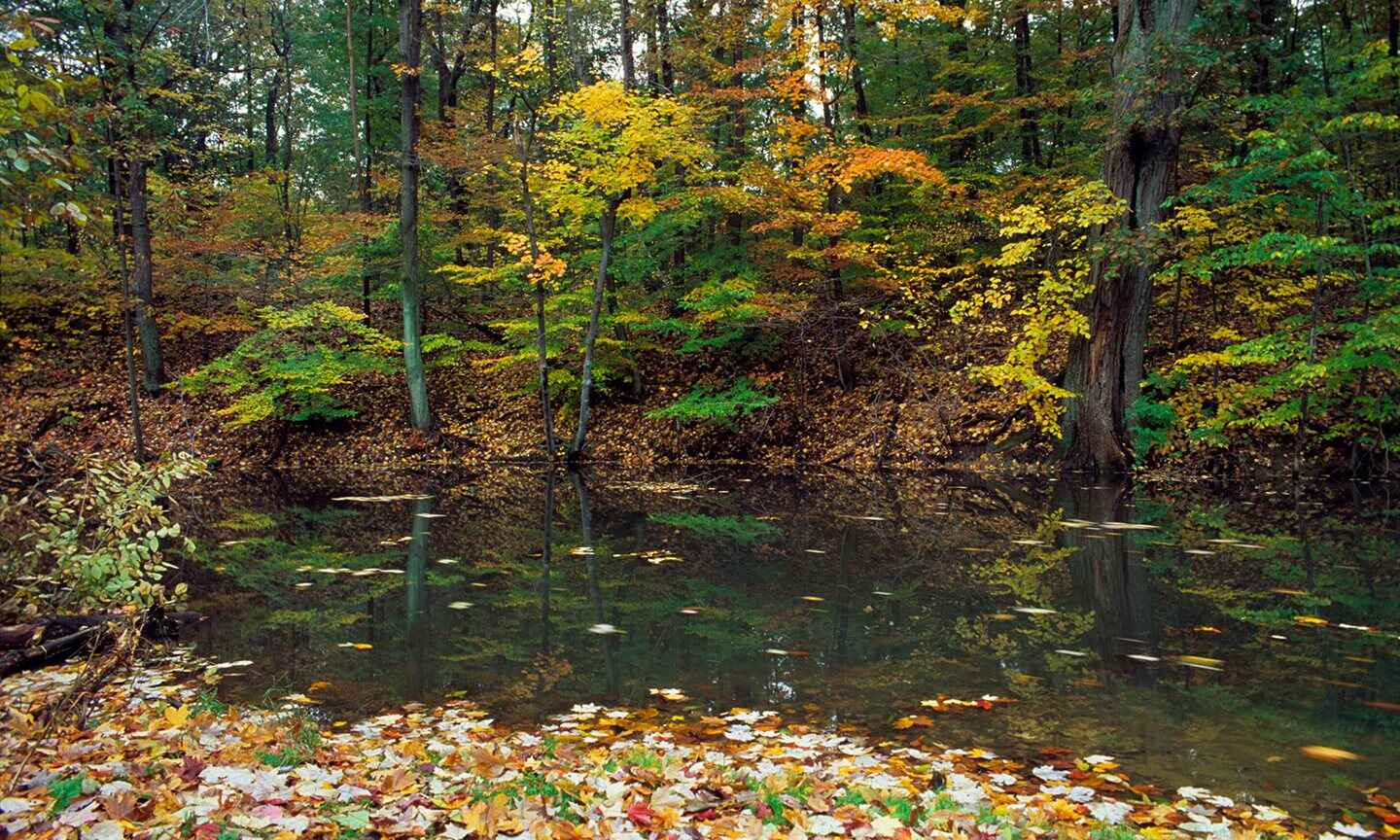 Fall-pond_1.jpg