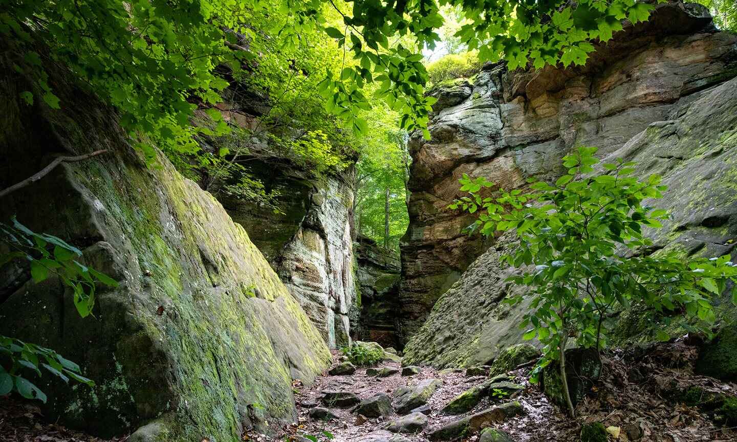HiR-Whipp-s-Ledges-Summer.jpg