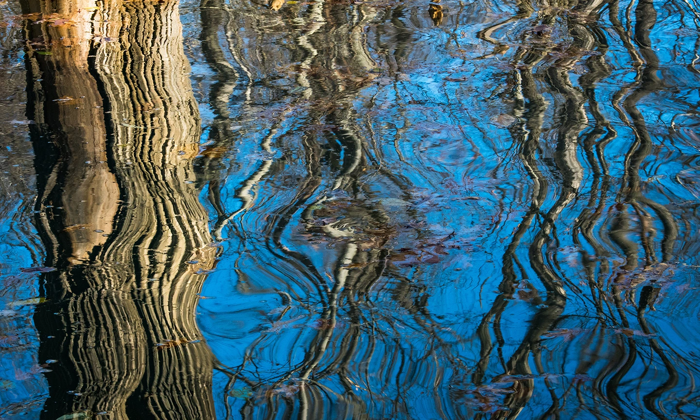 water-social-sharing.webp