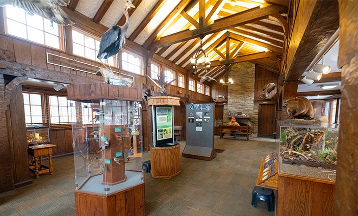 BNC_Interior_02.webp