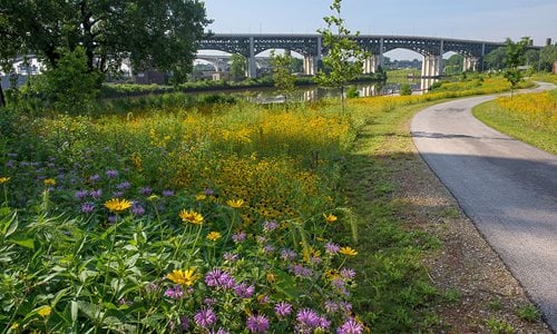 Towpath Trail at W.13 Place and Abbey Rd