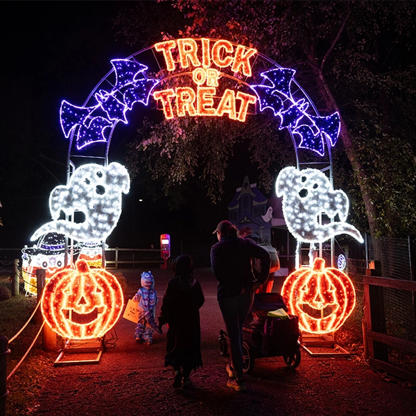Boo at the Zoo.webp