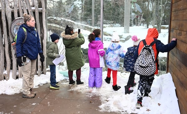 Winter-Break-Kids-Looking-through-Exhibit-Glass-2022.jpg