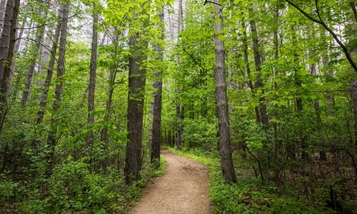 Lewis Road Riding Ring