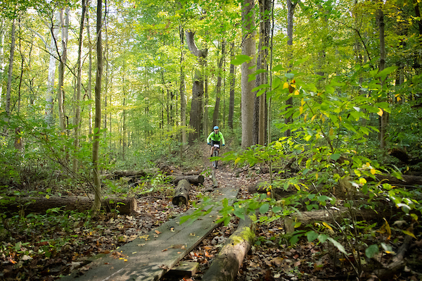 Royalview Mountain Bike Trail Royalview Mountain Bike Trail