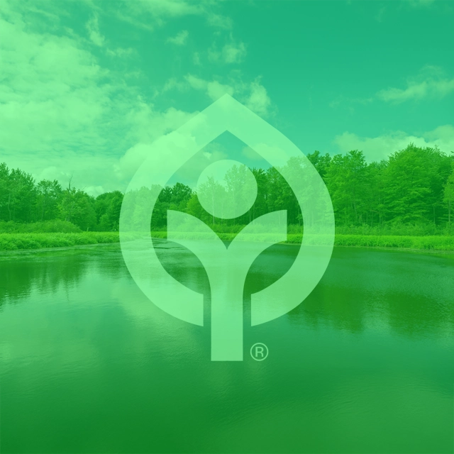 My_Account_3_Green.webp