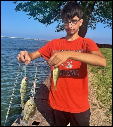 9.3.26 perch 2 9.3.26 perch 2