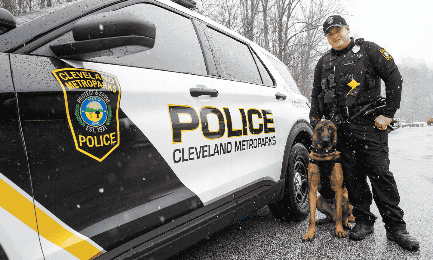 Division-K9-officer.png