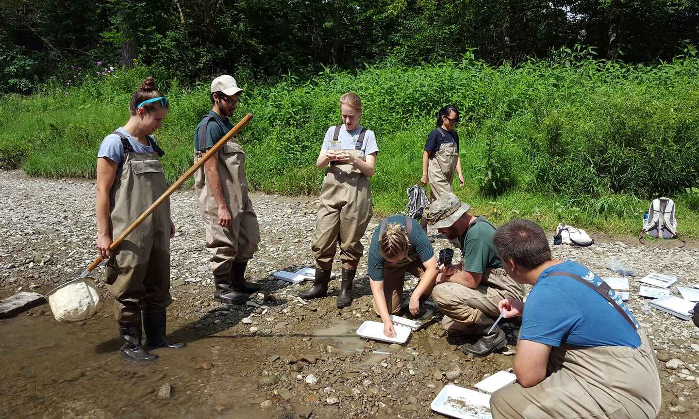 NR-macroinvertabrate-monitoring-session-Chagrin-River-WVP-and-seasonals.jpg