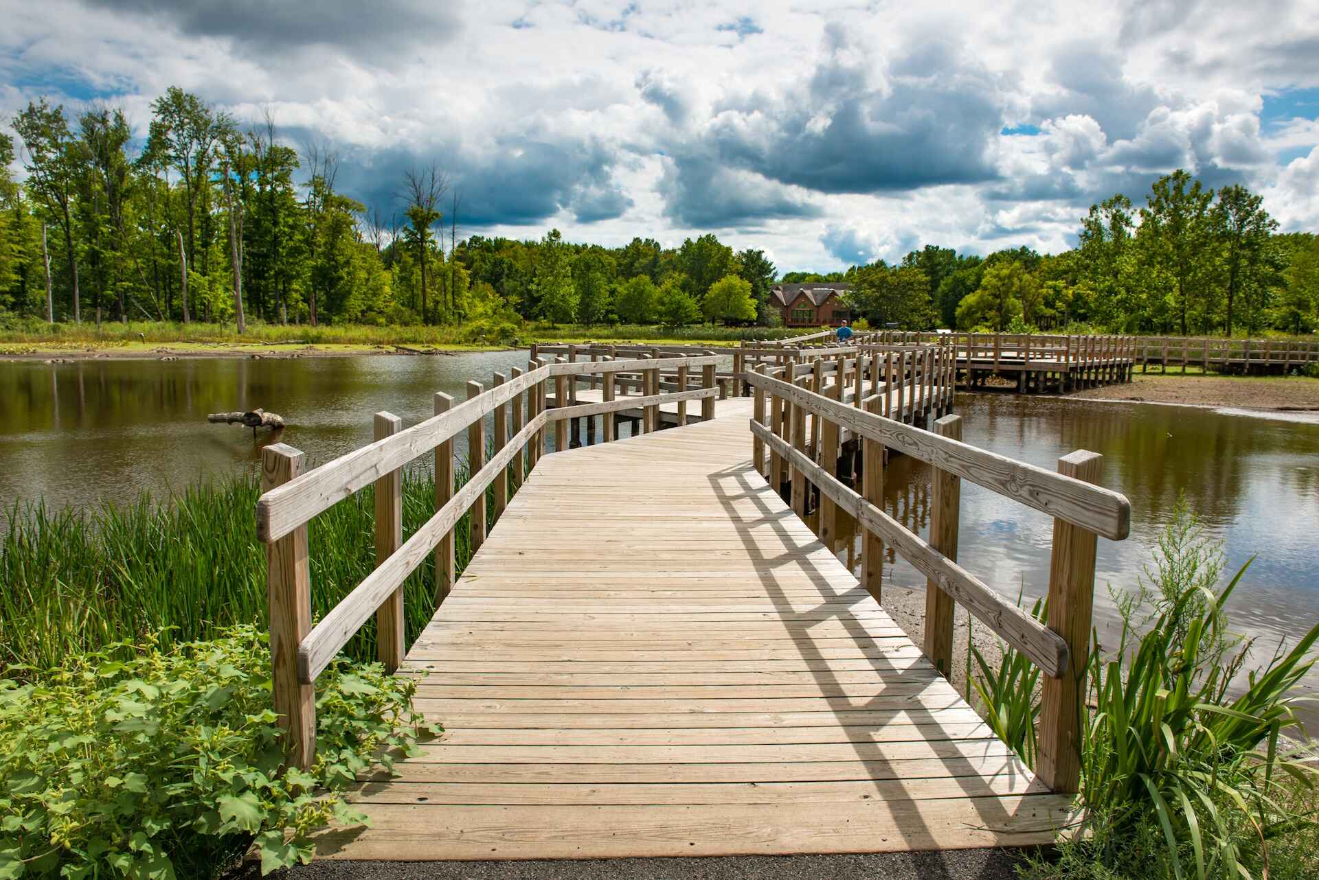 NC-Marsh-Trail-TTEjpg.jpg