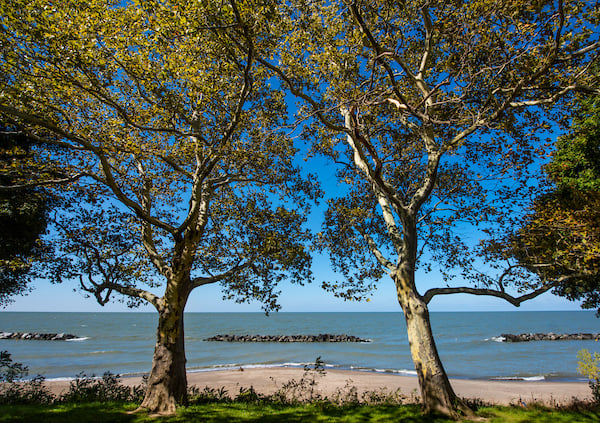 Euclid Beach