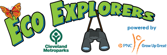 Eco-Explorers.png