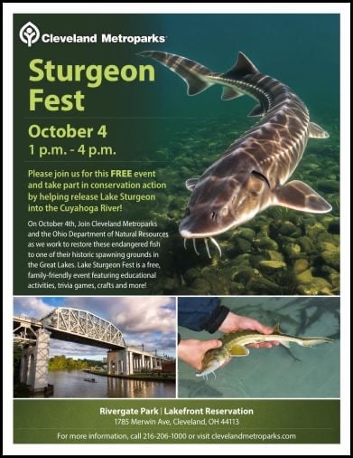 sturgeon-fest.jpg