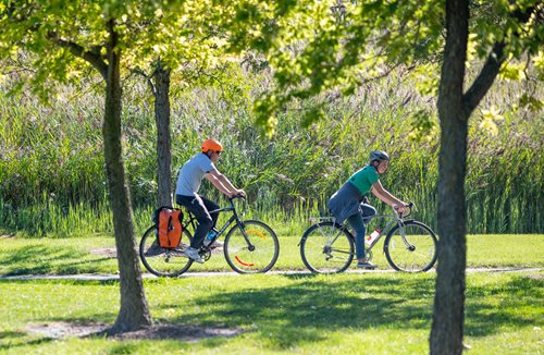there are two people riding bikes in the park on a sunny day, a stock photo inspired by James Paterson, shutterstock contest winner, ecological art, parks and public space, wide greenways, hoffman bicycle trip