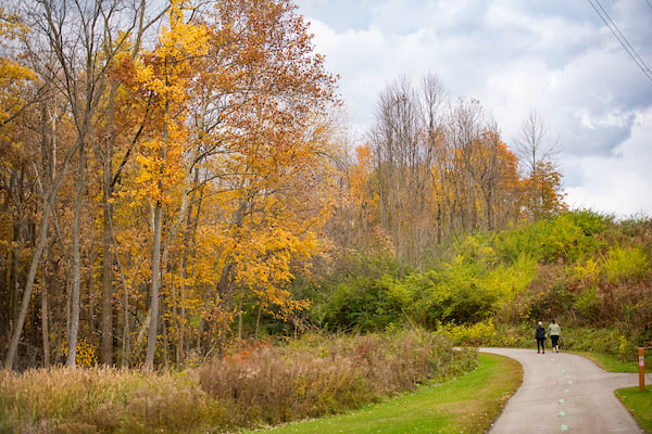 KCL_5424.jpg KCL_5424.jpg