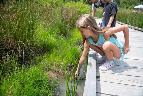 A young girl observes a plant in a stream, her expression reflecting wonder and curiosity amidst the serene landscape.