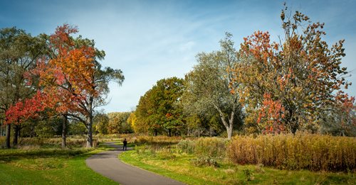 trees with orange and red leaves on them are in the park, a tilt shift photo inspired by Henry Carr, shutterstock contest winner, les automatistes, parks and public space, park background, landscape photo-imagery