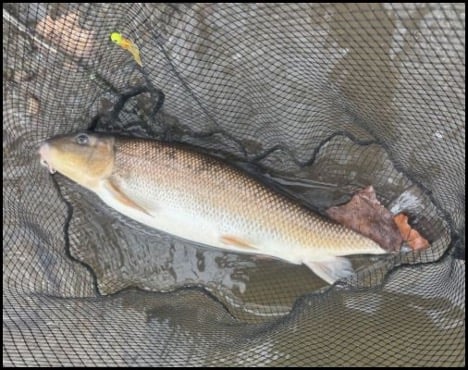 4-2-26-jon-2.jpg 4-2-26-jon-2.jpg