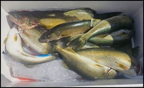 10-1-25-14.jpg