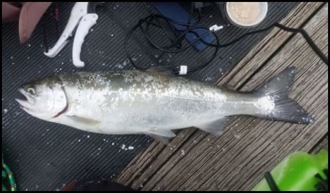 3-26-26-kylie-2.jpg 3-26-26-kylie-2.jpg