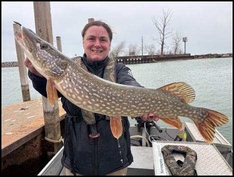 3-26-26-northern-pike.jpg 3-26-26-northern-pike.jpg