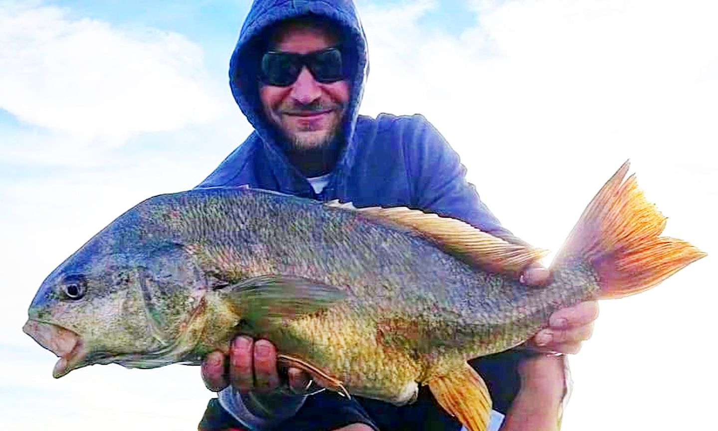 Lake Erie & Rocky River Fishing Reports