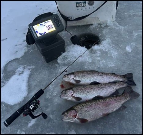 1-29-26-jared-3.jpg 1-29-26-jared-3.jpg