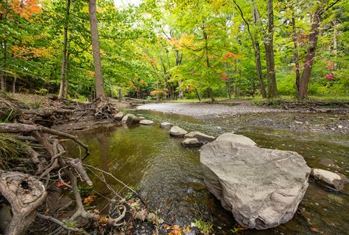 a view of a stream running through a forest filled with lots of trees, a tilt shift photo inspired by Henry Carr, shutterstock contest winner, hudson river school, woodland creek, babbling brook, william penn state forest