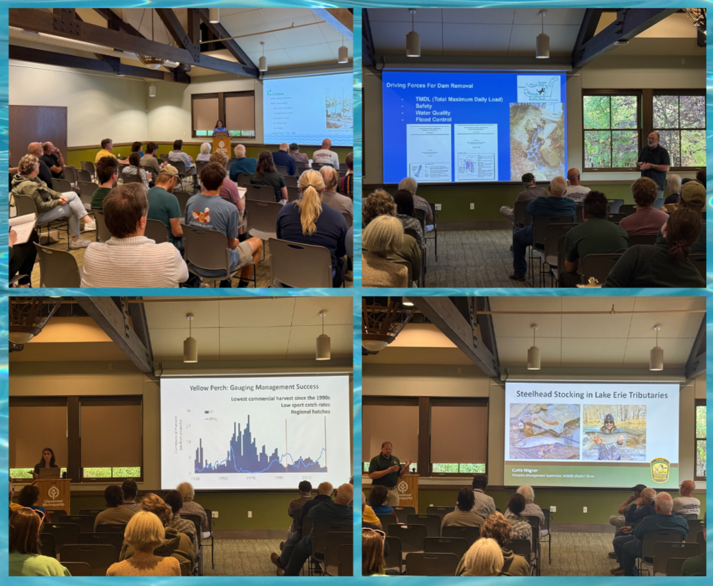 World-Water-Week-Collage-1.PNG