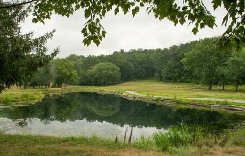 there is a pond in the middle of a grassy field, a matte painting inspired by J. Alden Weir, cg society, tonalism, pond scene, camp half-blood, still pond