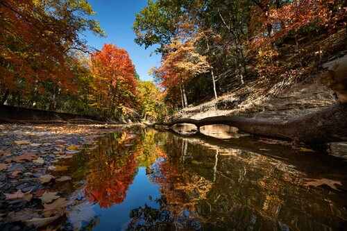 a view of a river with a few trees in the background, an impressionist painting by Dennis Ashbaugh, shutterstock contest winner, regionalism, bentonville arkansas, today\'s featured photograph 4k, natural reflections