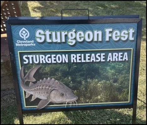 10-9-25-sturgeon-fest-14.jpg