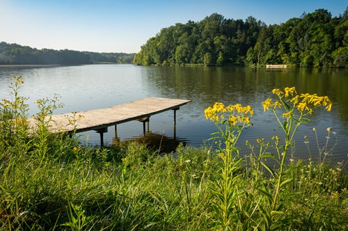 a view of a dock on a lake with a forest in the background, a stock photo inspired by Mary Abbott, shutterstock contest winner, environmental art, a photo of a lake on a sunny day, summer lake setting, small dock