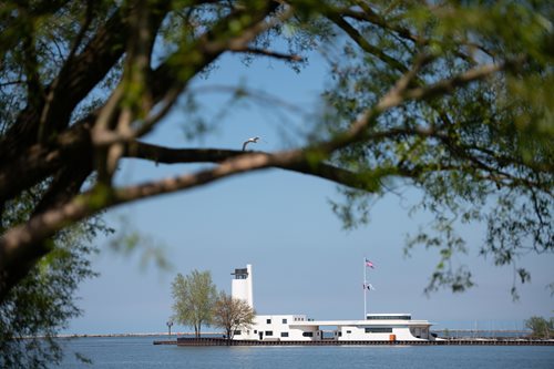 there is a boat that is sitting in the water near a tree, a picture inspired by Henry Carr, instagram contest winner, regionalism, ship on lake, parks and lakes, cpl filter
