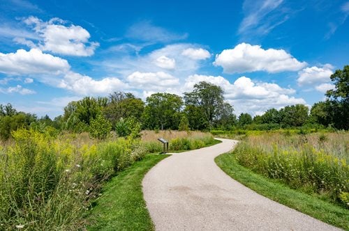 A smooth paved path leads through a vibrant grassy field, with tall grass and a clear blue sky creating a peaceful scene.