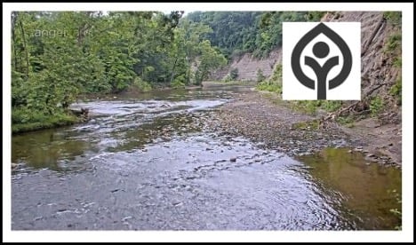 RR-Live-cam.jpg