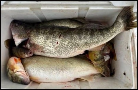 3-26-26-wes-3.jpg 3-26-26-wes-3.jpg