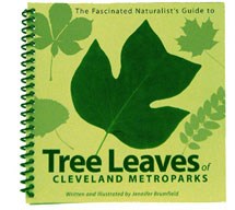 Tree Leaves of Cleveland Metroparks