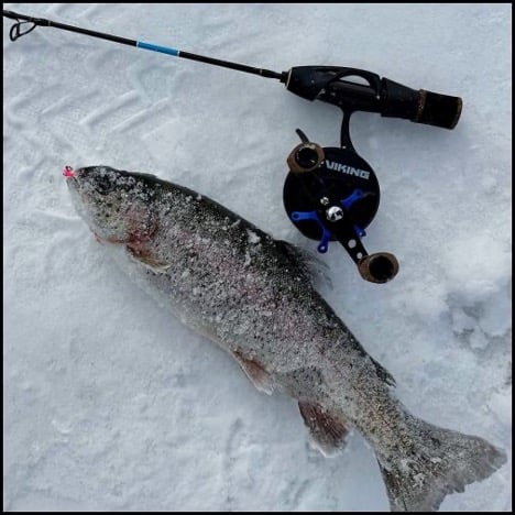 1-29-26-max-2.jpg 1-29-26-max-2.jpg