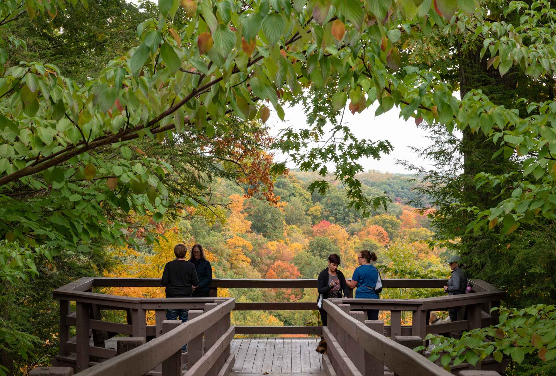 people standing on a bridge looking at the trees and foliage, a tilt shift photo inspired by Henry Carr, shutterstock contest winner, hudson river school, autumn foliage in the foreground, fall foliage, fall vibrancy