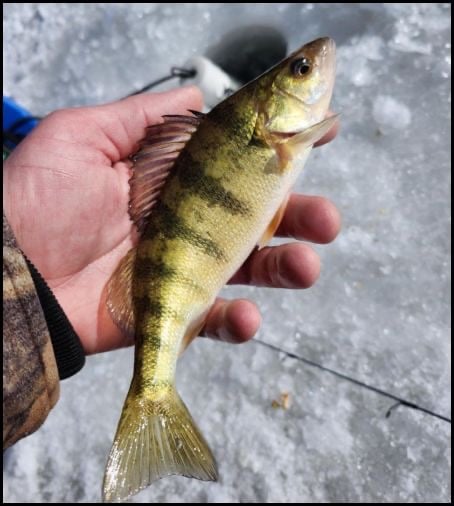 1-29-26-chuck-4.jpg 1-29-26-chuck-4.jpg